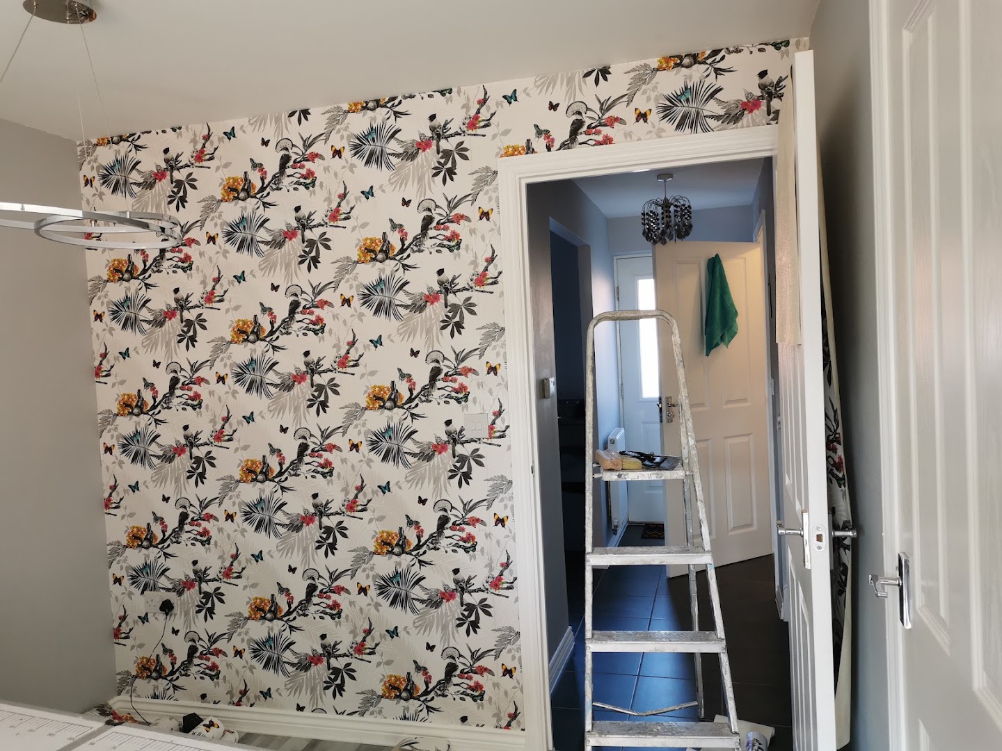 Ollys Painting & Decorating — Photos 4